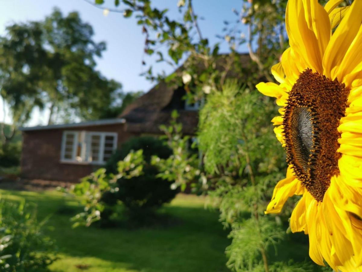 Ferienwohnung Marschkieker - Kleiner Deichhof Hattstedtermarsch Zewnętrze zdjęcie