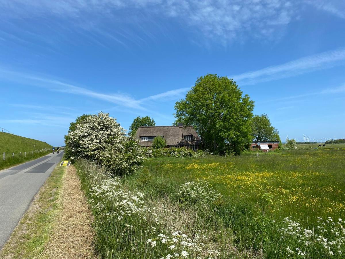 Ferienwohnung Marschkieker - Kleiner Deichhof Hattstedtermarsch Zewnętrze zdjęcie